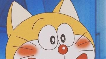 桉月|表情包：超开心的好消息