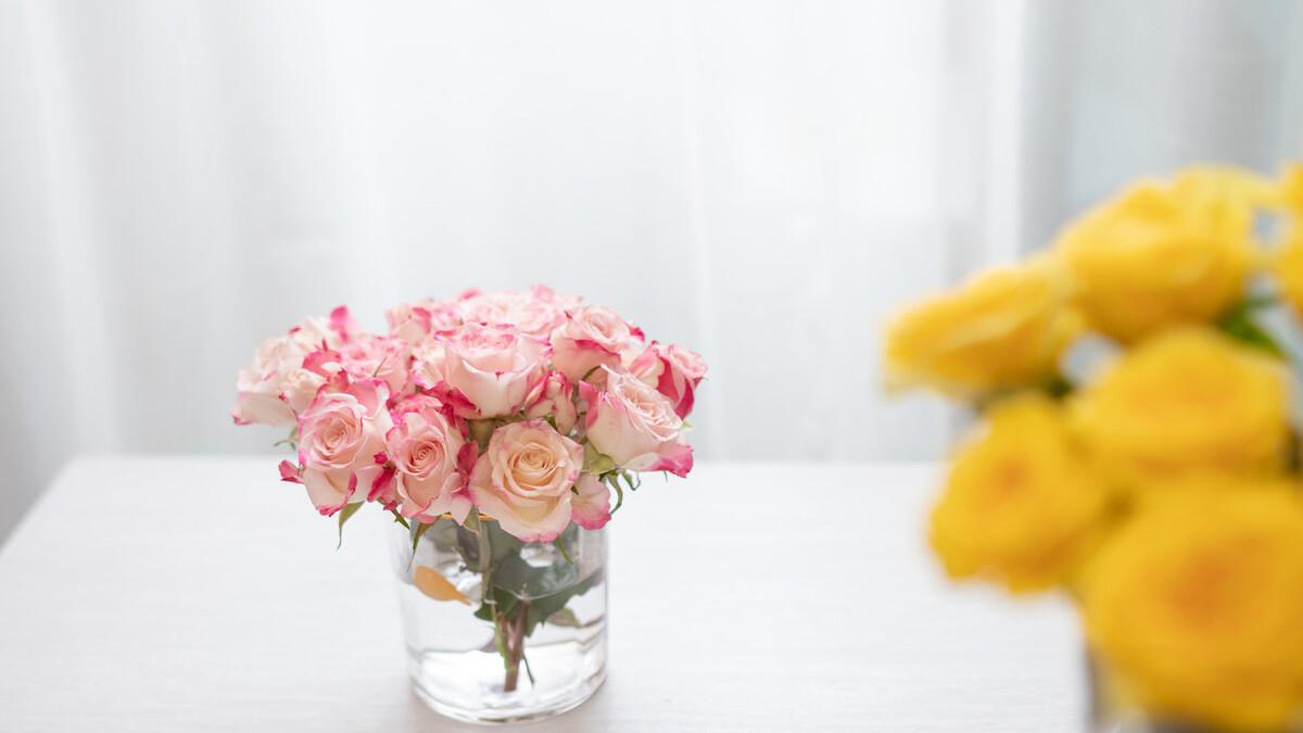 章晓娴|女人有情人后，为什么敢往家里带？这个女人说了心里话