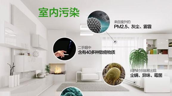 新房装修完多久可以入住？教你4个除甲醛小妙招，让你快速入住