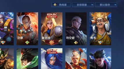 三国志11|王者荣耀：高端局的代表战士，如果有你本命，则离王者不远