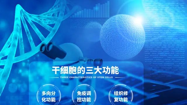 中国9000万人患有骨质疏松，干细胞通过分化为成骨细胞可改善患者症状