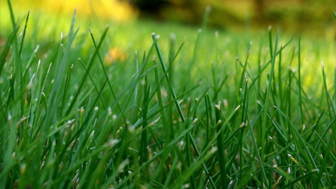 安冬悦|70后：那些美好的时光，再也回不去了