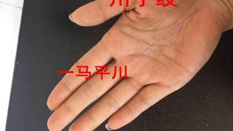 诚然情感之事|手相：川字掌和一马平川的解释