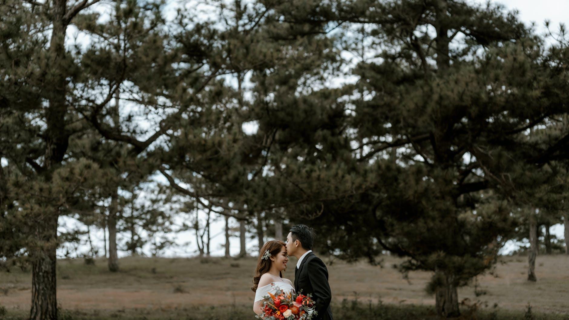 天亮了|“女婿也是半个儿子”岳父母厚待女婿，婆婆却差点断送了好婚事