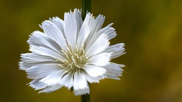 情感说心事|人生感悟：干净待人，清净待己