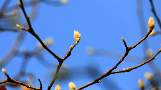 我喜欢你恩|老年人出轨是什么感受？63岁阿姨：很刺激，但这浑水，别蹚