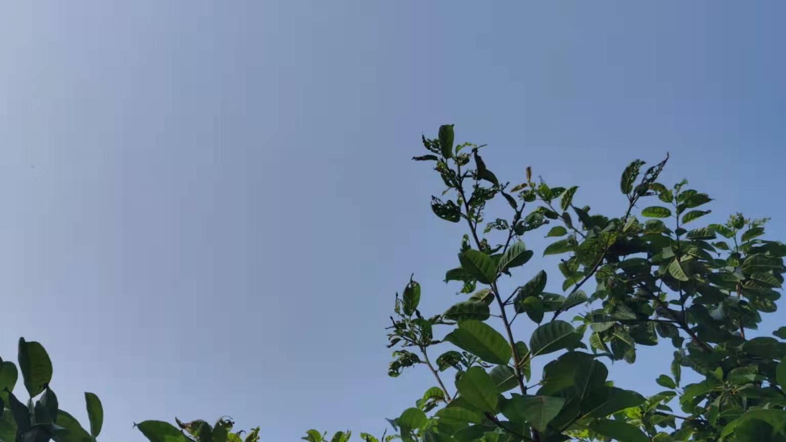瑜峰|妻子出轨老公的上司，老公最终还是选择了挽救