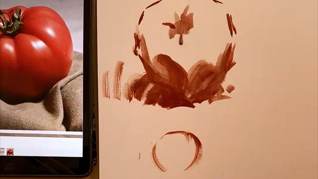 温天宝色彩干货《西红柿》