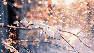 无论在哪里拍雪景，基本都逃不出这9种手法