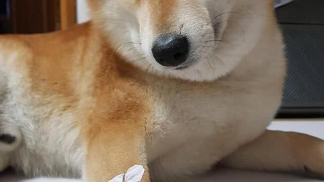 情感趣味测试 趣味测试：做个测试，看看你的闷骚指数是多少？