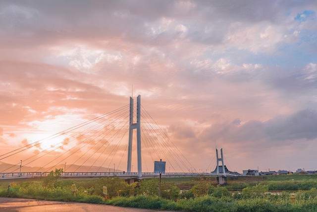 坦然的狐狸|时光匆匆，繁华落尽，愿一切安好