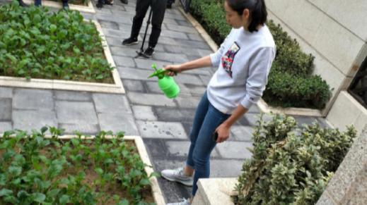 朱婷豪宅曝光：花园洋房装修精致，如今千万身价依旧喜欢农家生活