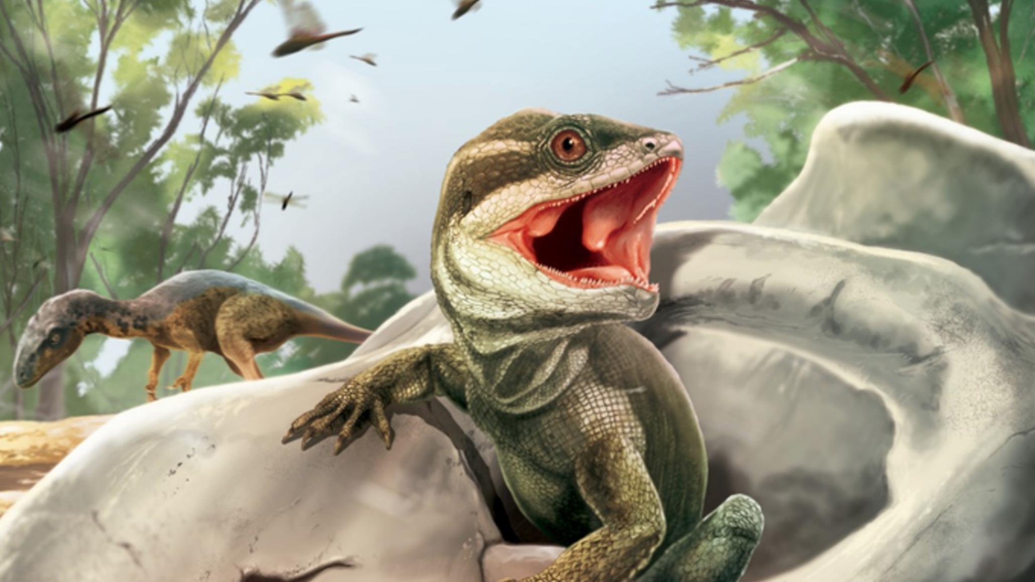 化石 蛇的起源是什么呢？2.314亿年前小怪兽的化石给出了答案