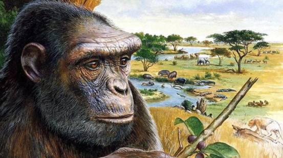 南方古猿 希腊发现605万年前人类脚印！那时南方古猿还未出现，哪来的人？