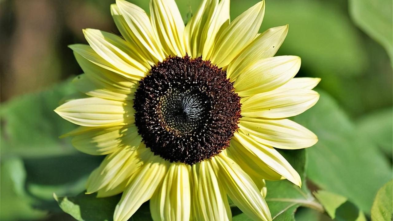 情感说心事|人这辈子，守住“三颗心”，福气自然来