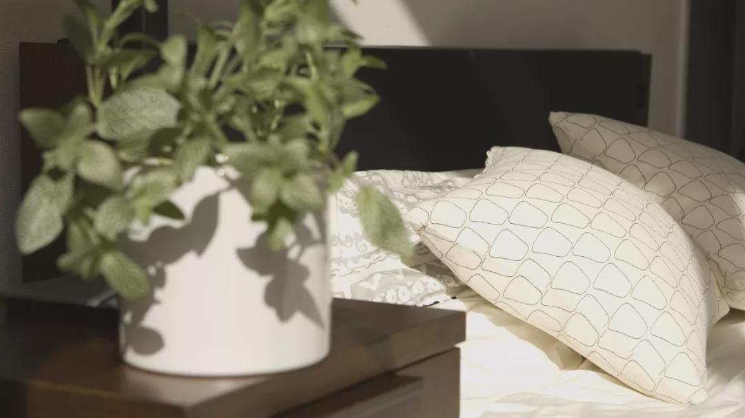 卧室里面最不该放的3样东西，难怪越睡越不舒服，赶紧弄走吧