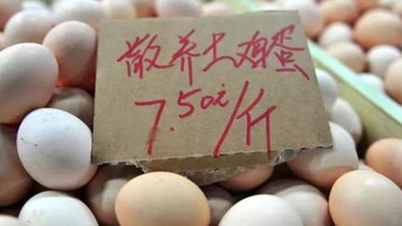 鸡蛋 每吨多卖2万！假土鸡蛋，正在流入14亿人的餐桌