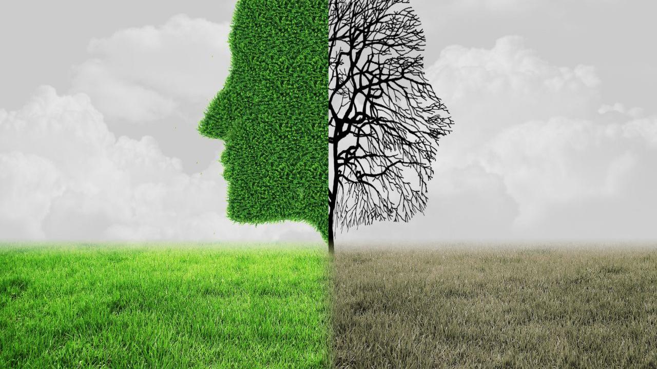 木木瞎扯 心理学：如果你热衷这些事，说明你骨子里也有一点“黑暗人格”