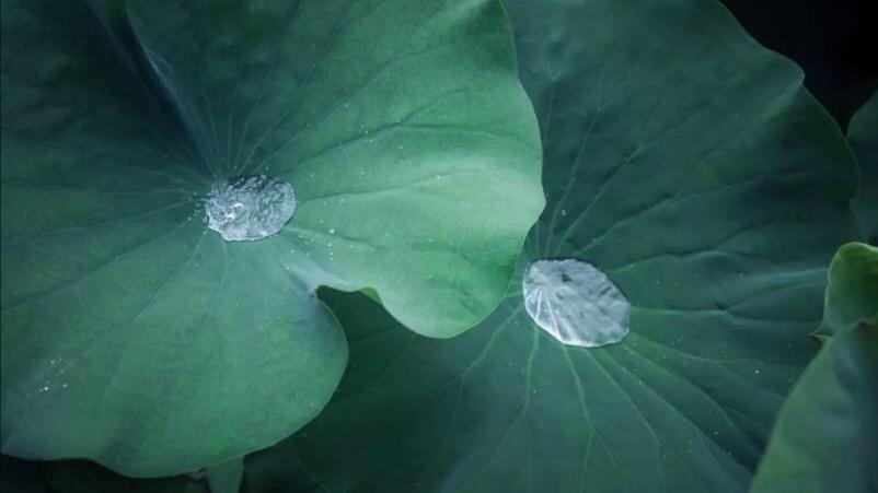 唯晨说|感悟：快乐的“秘密”并不复杂，保持良好心态