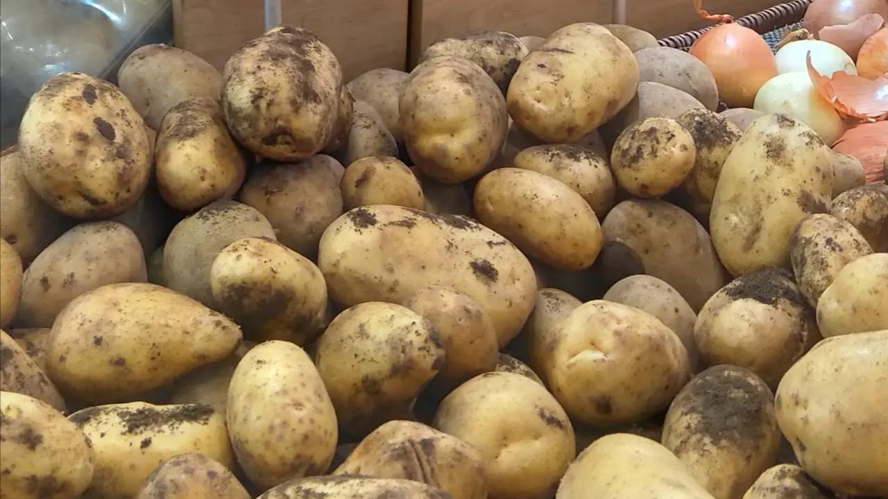 土豆|今天看到超市也是积极响应号召，有的菜价也下来