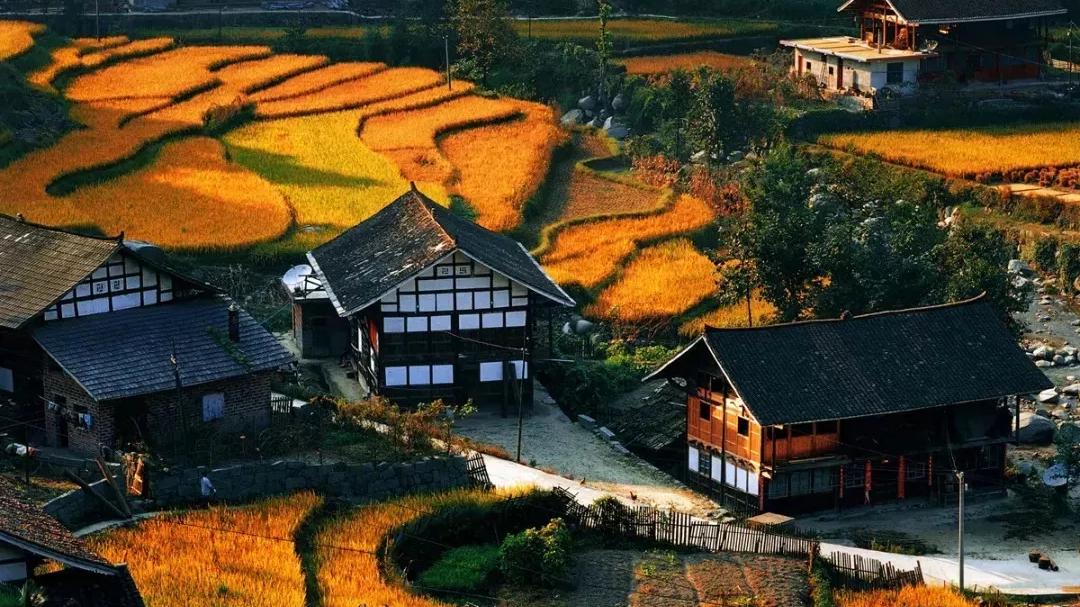 突然发现，秋季的印象来自于照片，而并非记忆