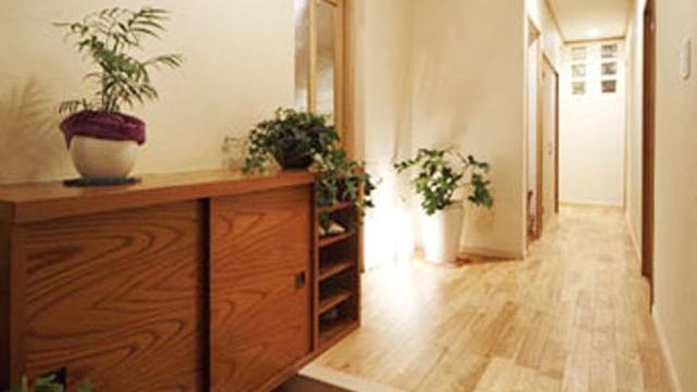 等我再装修，一定设计一个日式玄关，整洁美观，回家也很有仪式感