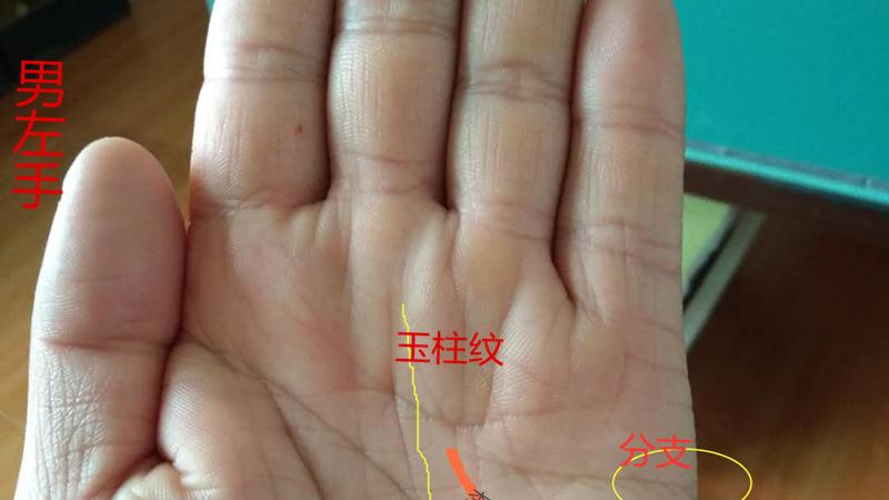 诚然情感之事|手相：手有M纹，中晚运发福