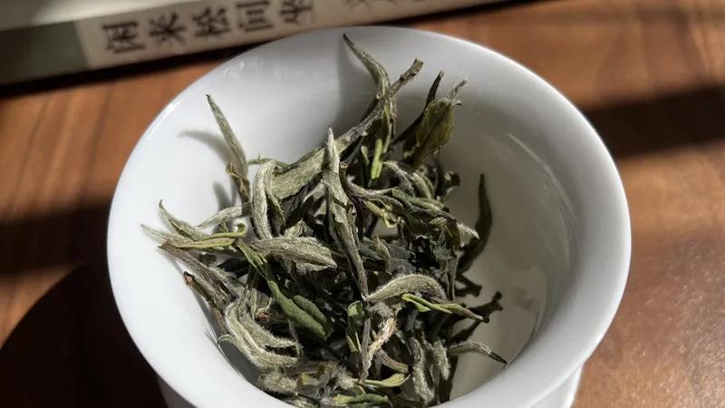 豆腐|茶香应循自然之道，远离衰败陈腐之气