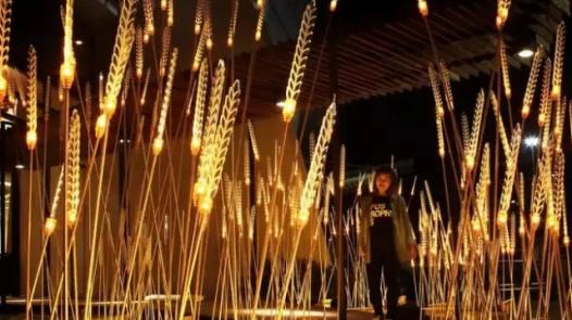 文旅灯光设计在园林上要注意什么？