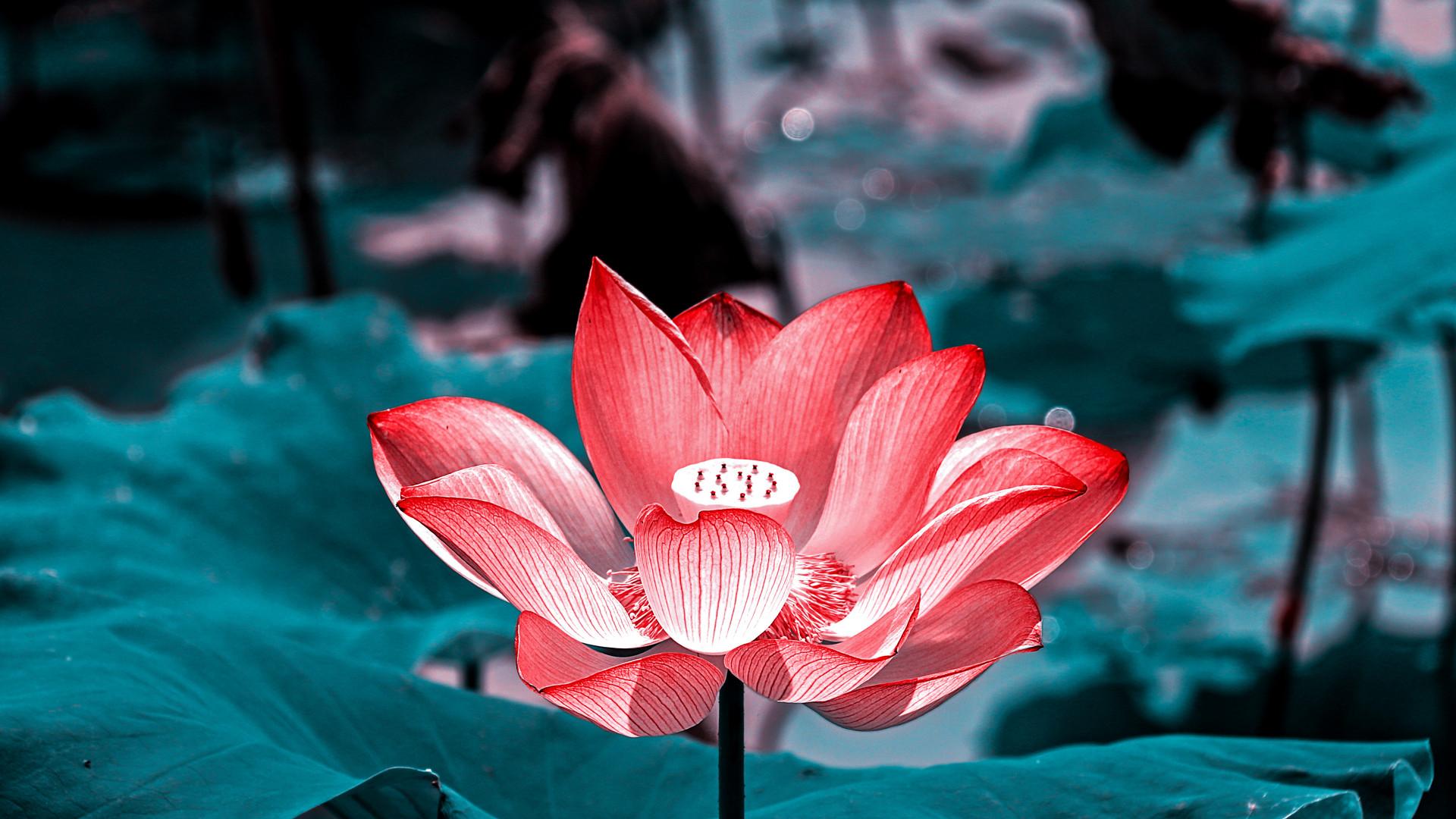 西厢有情|别着急，属于你的爱情，在路上