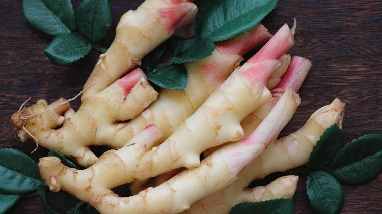 王智杰说|三伏天要多吃生姜，教你简单做法，做一次能吃到出伏，随吃随取