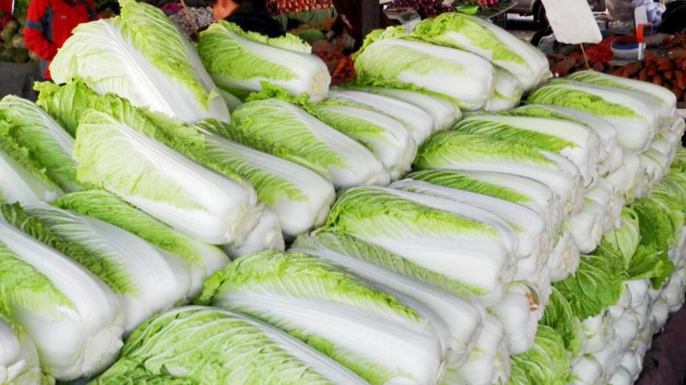 白菜|才知道，炒白菜最忌直接下锅，好多人都炒错了，难怪说不好吃