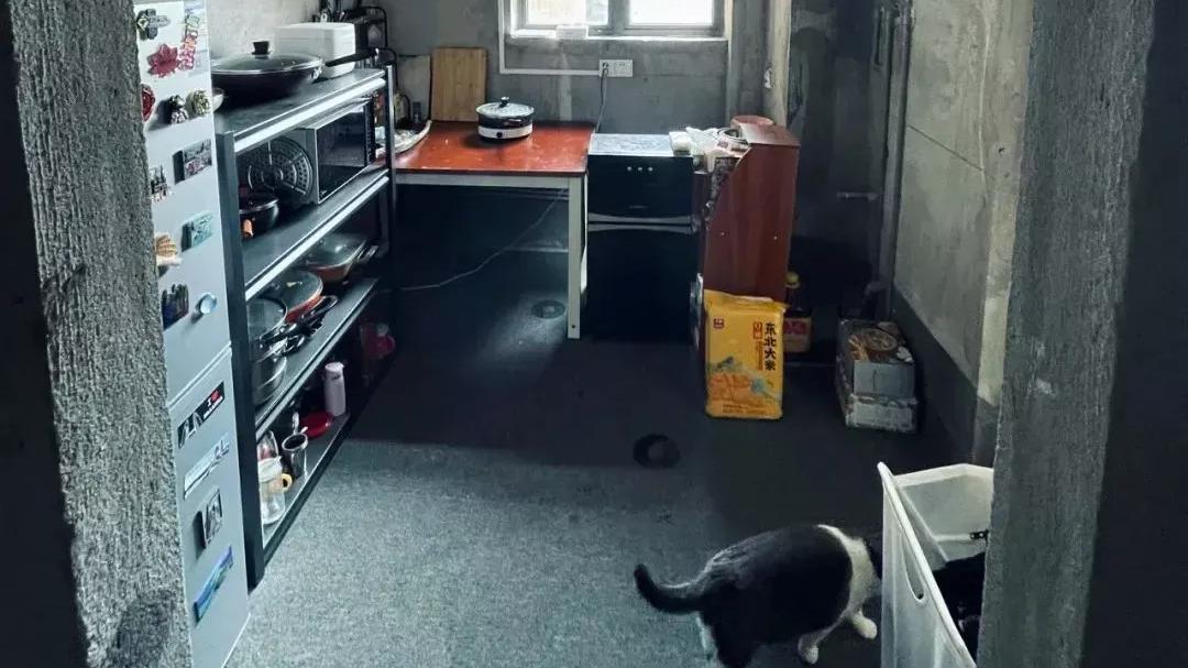 没钱装修，90后情侣直接入住170平毛坯房，生活却被无数人羡慕