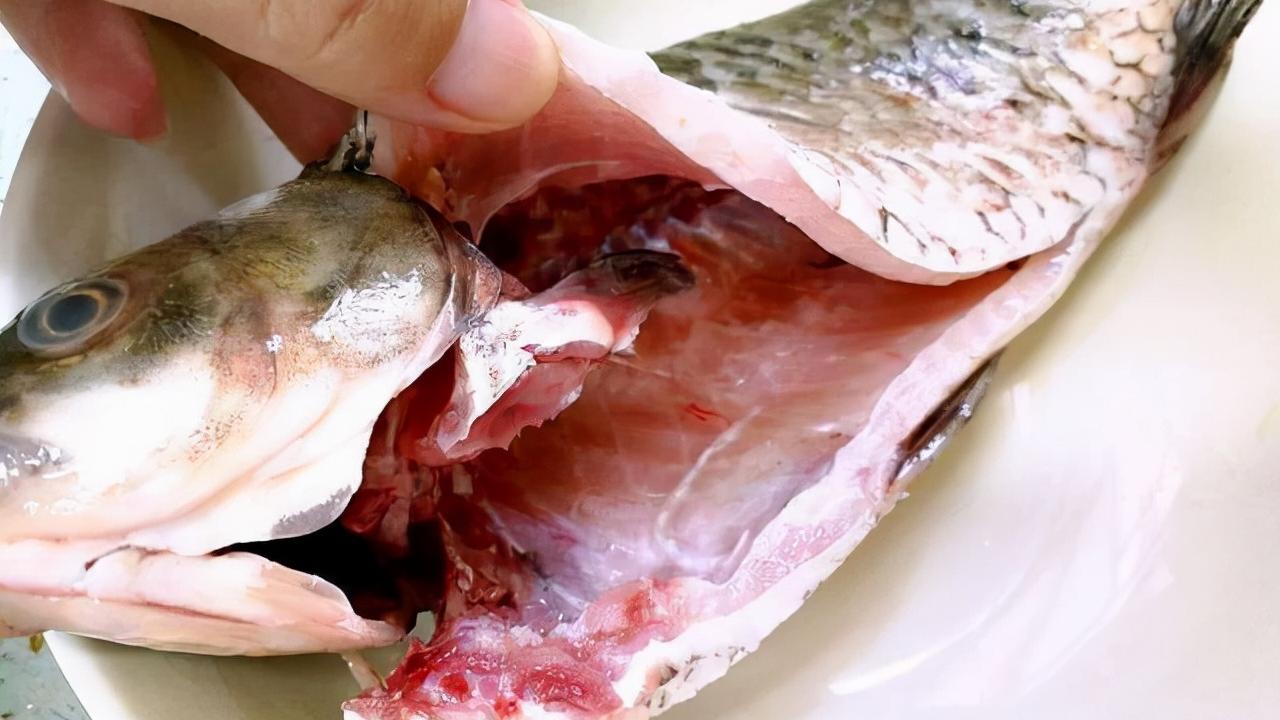 鲫鱼豆腐汤|不管解冻什么鱼，切记别用水泡，教你一招，简单快速，比活鱼新鲜