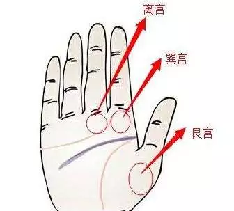 手上有肉的人，福气满满，生活无忧！