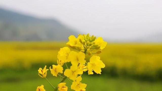 末小北|只要不认怂，生活就没办法撂倒你