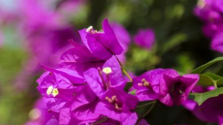 杜若隐说|这几个星座即将和伴侣重聚千年，感情变得更加真挚