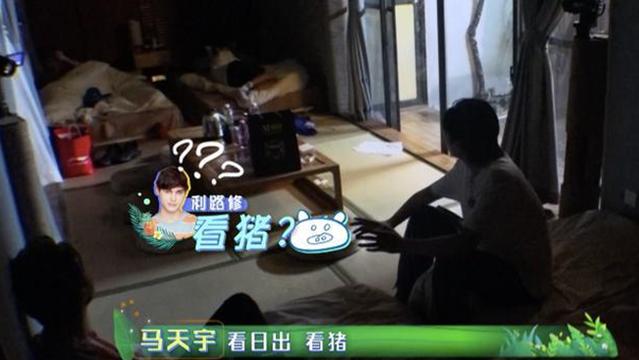 低调的小白菜|佛系到了极致的《完美的夏天2》，把慢综玩出了旅游纪录片的花样