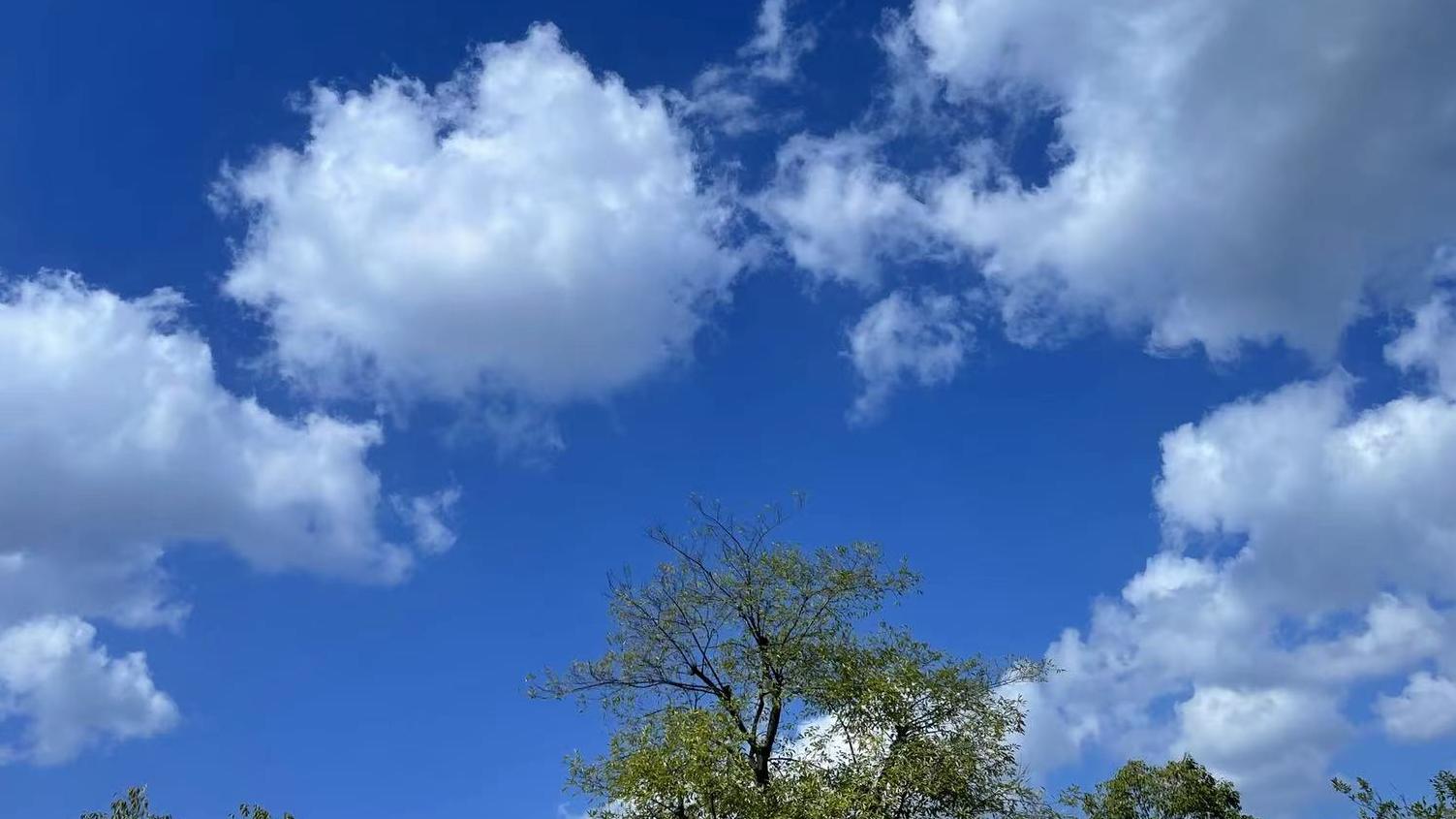 一觉醒来就成了冷宫弃妃（上）