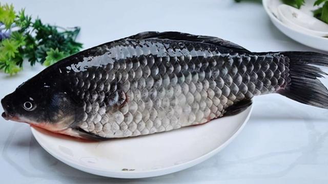 韭菜|俗话说“鱼不蒜，牛不韭，肉不姜”，你明白里面的含义吗？