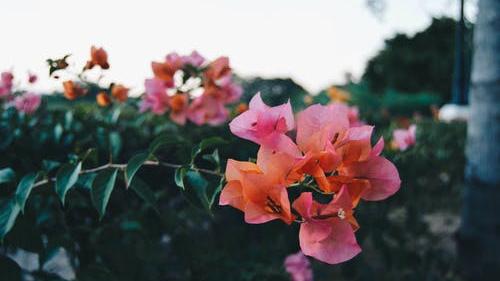 北苏 被背叛后，你要学会一种人生“智慧”，接受过去，让过去成为过去