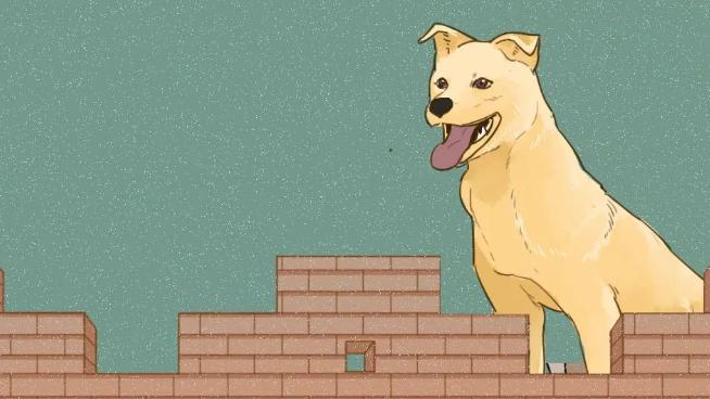 淘汰警犬拍出33万高价：作为一只有编制的狗有多难？