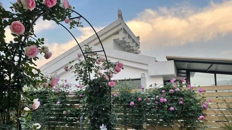 买了顶楼，历时2年DIY改造32㎡露台小花园，看一眼都要被它美到