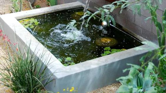 一楼带院子和低层带露台的房子，如何防蚊灭虫？建议收藏