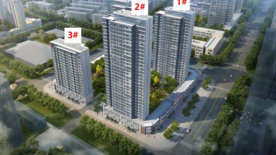 又上新！河东第三个格调新盘来了，户型、价格双曝光！