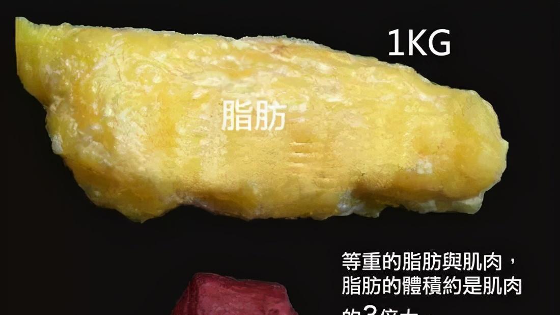 鸡蛋 瘦不下来怎么办？4个方法突破瓶颈期，加快燃脂速度