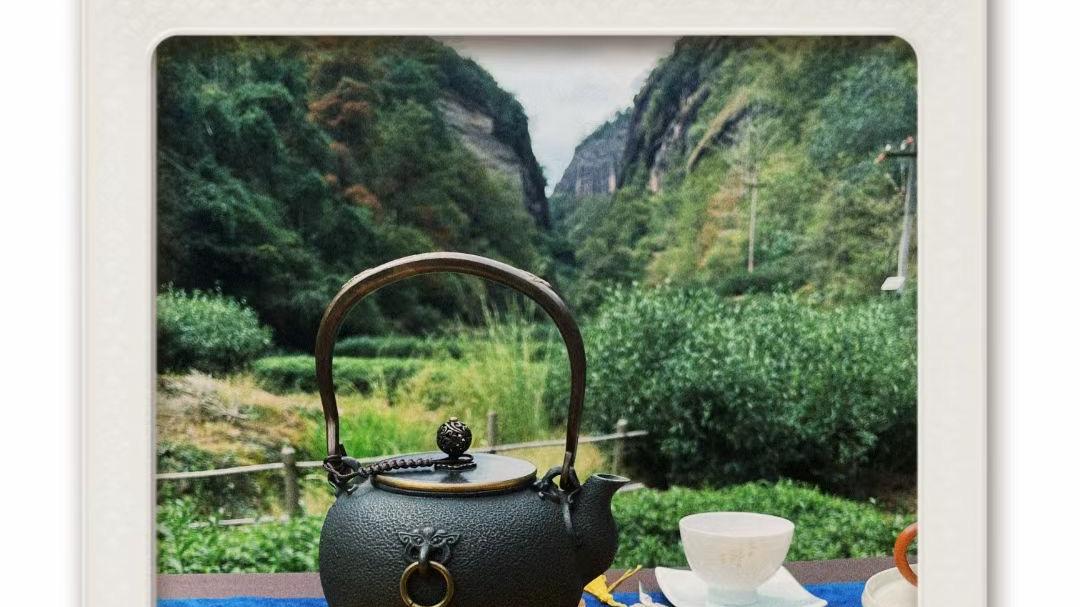 肉桂|马头岩九龙窠肉桂