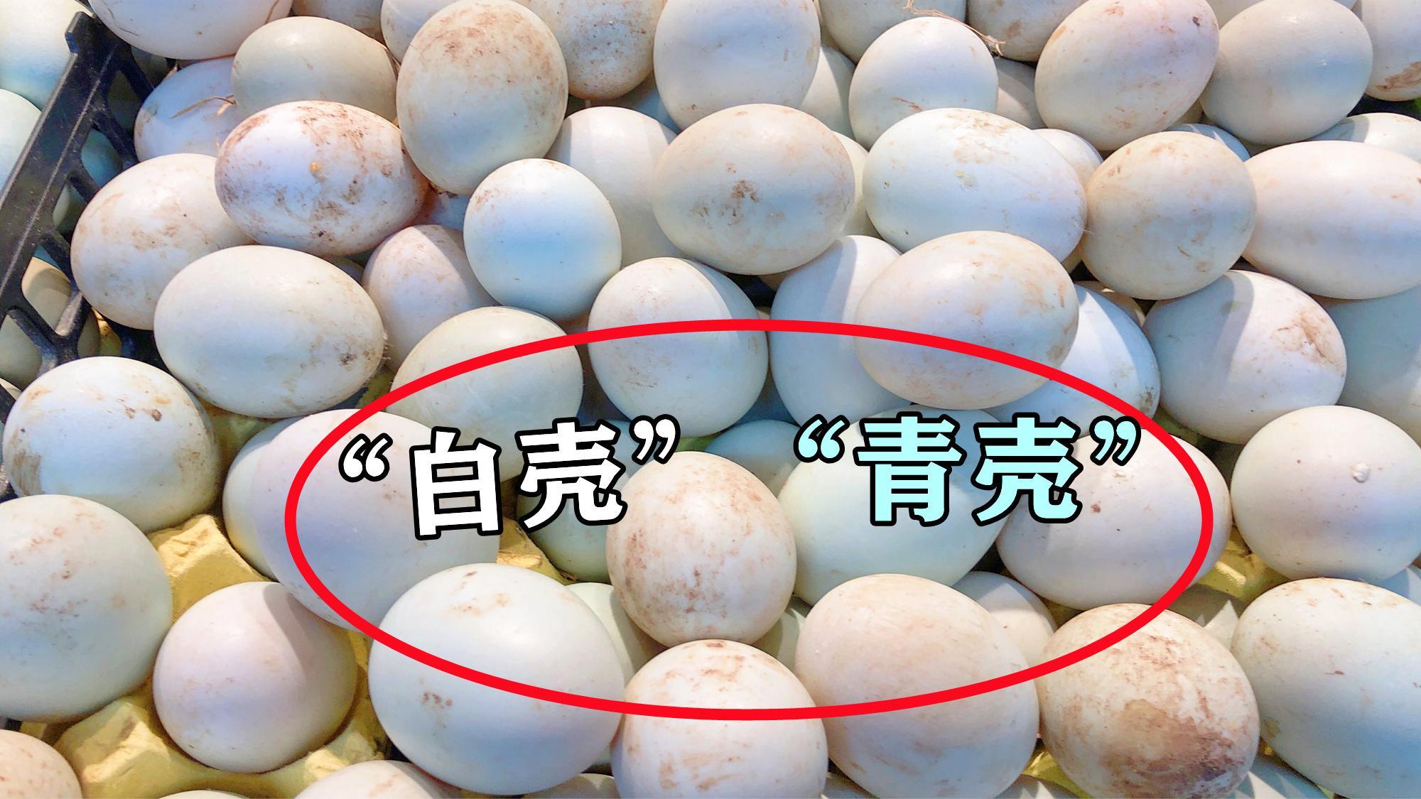 买鸭蛋时，选“青壳”还是“白壳”？区别很大，弄清楚再买不吃亏