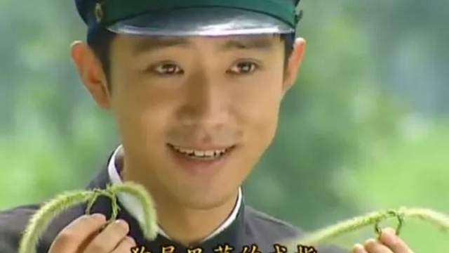 余新晴|20年后才看明白，尔豪无论如何不愿娶可云，其实都是为了她好