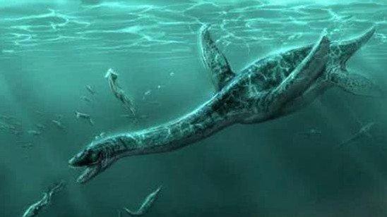 青海湖 ?青海湖水怪之谜：科学家推测不是蛇颈龙
